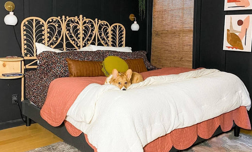 Image of a cozy bedroom with sconce lighting by Color Cord, warm toned textiles and decor, and a dog on the bed