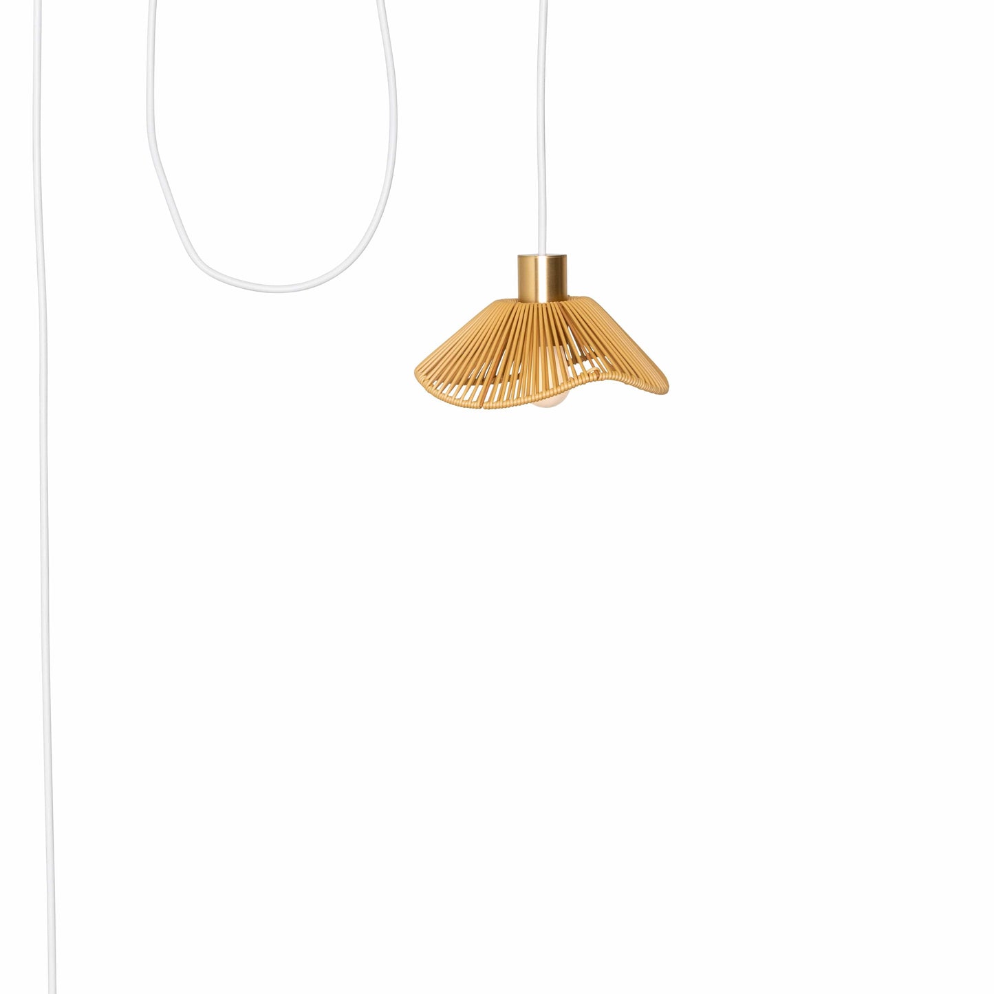 AiO Outdoor Pendant with Mini Lasso Shade