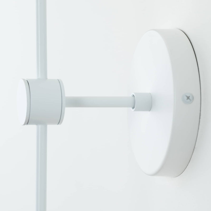 Double-Arm Duo Plug-in Sconce | Shop Plug-In Light Fixtures